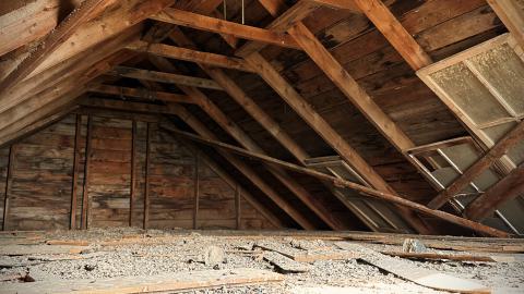 Pigeon Sacrifice - 37B07387-7FBE-40A4-96B1-D295F8DC5EA0.jpeg