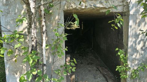 Dunn is Done. - 20240731_124358.jpg