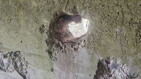 Dunn is Done. - 20240731_124455.jpg