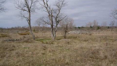 Horncastle Heavenly Hike - MJFR 001.jpg