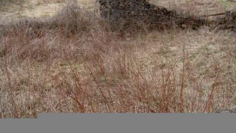 Horncastle Heavenly Hike - MJFR 011.jpg