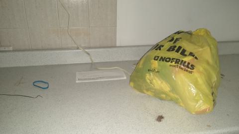 Rain on the Rooftops - IMG_20240804_125606594.jpg