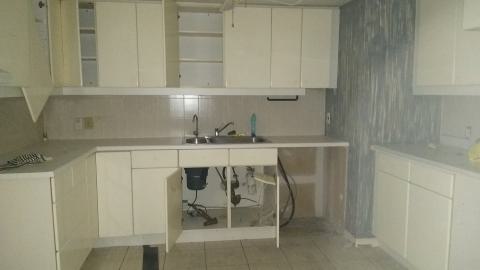 Rain on the Rooftops - IMG_20240804_125617854.jpg