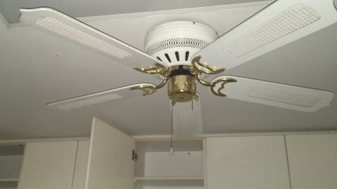 Rain on the Rooftops - IMG_20240804_125758094.jpg