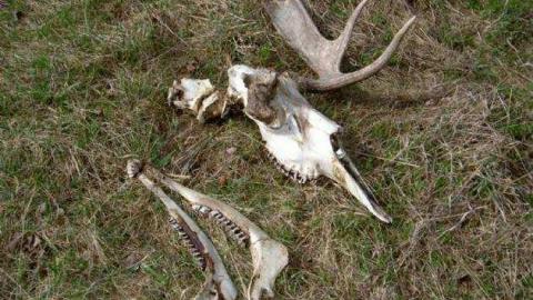 Horncastle Heavenly Hike - MJFR 031.jpg