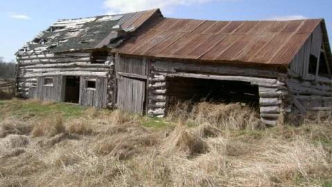 hmmmm - MJFR 033.jpg