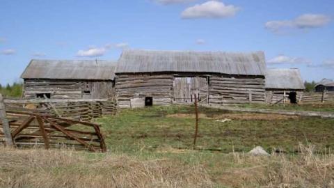 hmmmm - MJFR 036.jpg