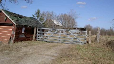 hmmmm - MJFR 039.jpg