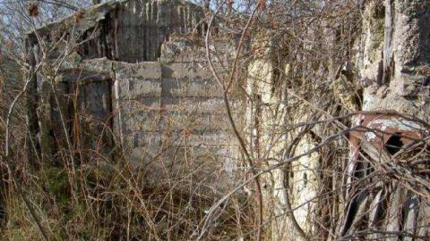 hmmmm - MJFR 040.jpg