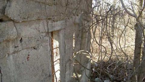 hmmmm - MJFR 041.jpg