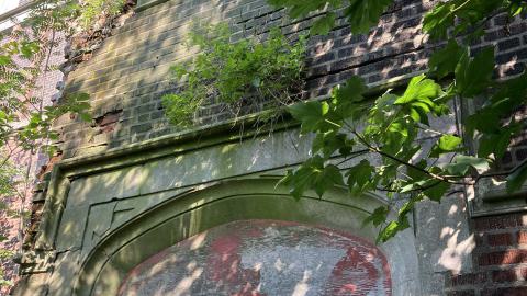 going to try one more time, and if this does not work than I 'am never coming back here again, ok well maybe one more time - IMG_3770.JPEG