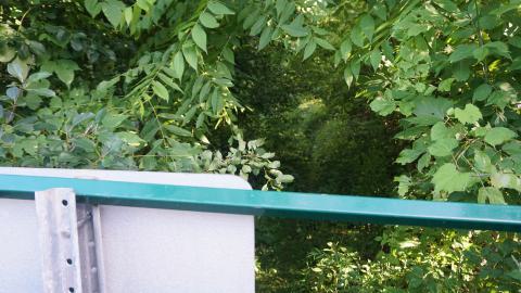 Photo from great spot at sun set