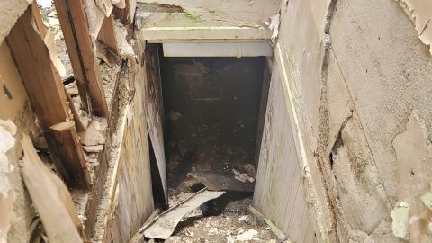 Paint Peeler - 20240805_144902.jpg