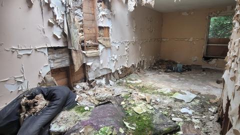 Paint Peeler - 20240805_144845.jpg