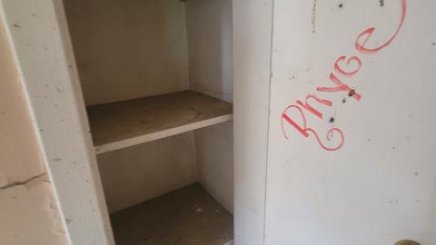 Paint Peeler - 20240805_145105.jpg