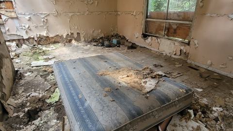 Paint Peeler - 20240805_145051.jpg