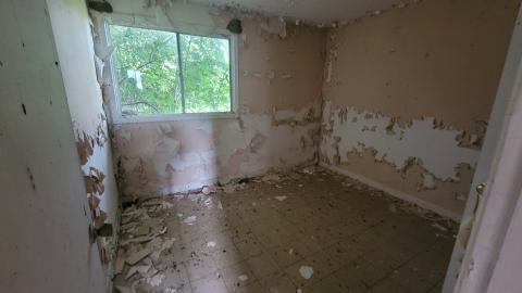 Paint Peeler - 20240805_145302.jpg