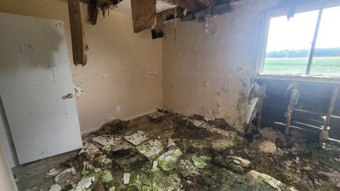 Paint Peeler - 20240805_145209.jpg