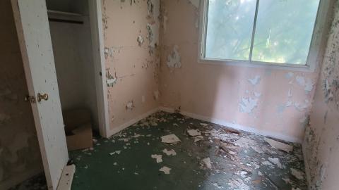 Paint Peeler - 20240805_145143.jpg