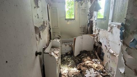 Paint Peeler - 20240805_145131.jpg