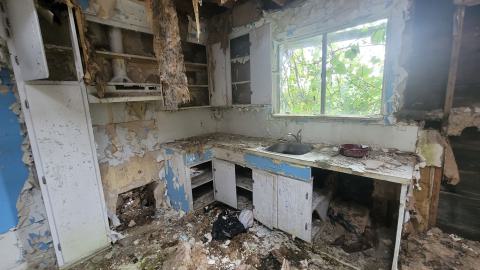 Paint Peeler - 20240805_151015.jpg