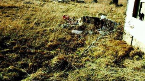 March 2012 - Christmas-Catastrophe7.jpg