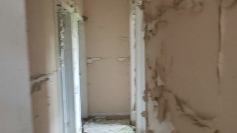 Paint Peeler - Screenshot_20240805_230905_Video Player.jpg