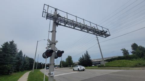 Almost The Whole Thing - 20240806_171605.jpg