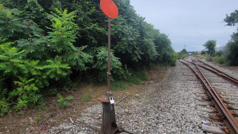 Almost The Whole Thing - 20240806_171953.jpg