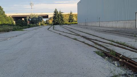 Almost The Whole Thing - 20240806_191323.jpg