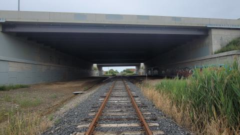 Almost The Whole Thing - 20240806_173601.jpg