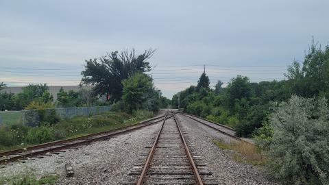 Almost The Whole Thing - 20240806_172331.jpg