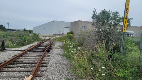 Almost The Whole Thing - 20240806_172206.jpg