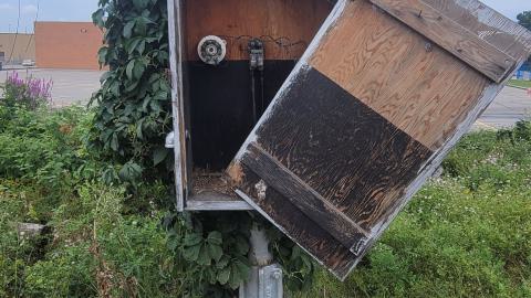 Almost The Whole Thing - 20240806_174350.jpg