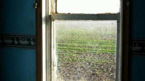 March 2012 - Christmas-Catastrophe18.jpg