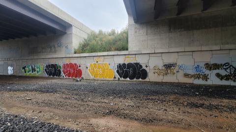 Almost The Whole Thing - 20240806_173853.jpg