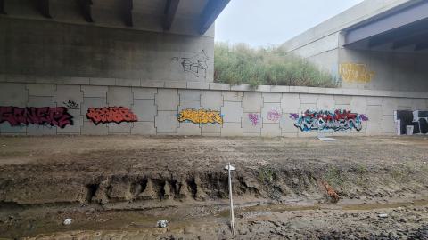 Almost The Whole Thing - 20240806_173842.jpg