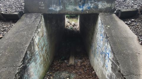 Almost The Whole Thing - 20240806_180155.jpg