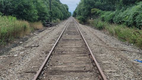 Almost The Whole Thing - 20240806_175713.jpg