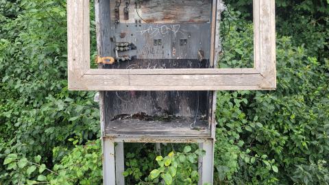 Almost The Whole Thing - 20240806_180449.jpg