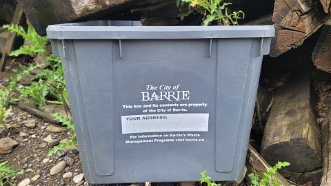 Almost The Whole Thing - 20240806_180324.jpg