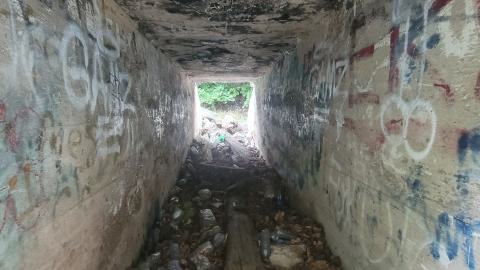 Almost The Whole Thing - 20240806_180202.jpg