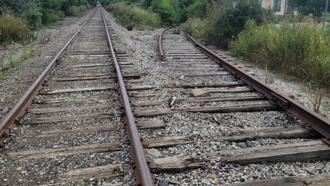 Almost The Whole Thing - 20240806_181219.jpg