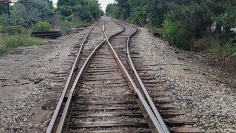 Almost The Whole Thing - 20240806_182738.jpg