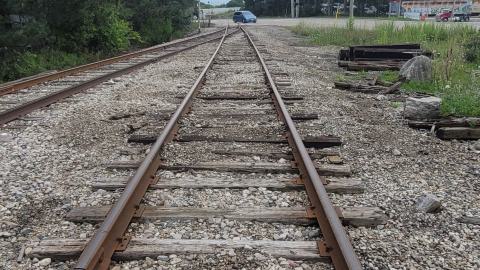 Almost The Whole Thing - 20240806_182623.jpg