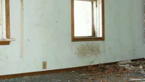 March 2012 - Christmas-Catastrophe20.jpg