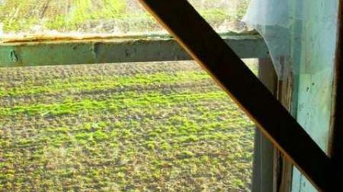 March 2012 - Christmas-Catastrophe13.jpg