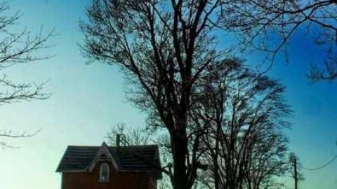 March 2012 - Christmas-Catastrophe12.jpg