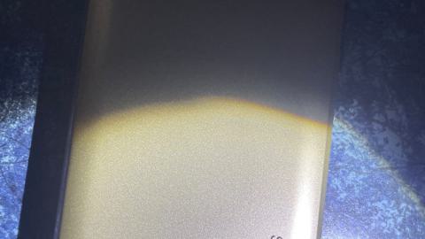 Memoriam Eorum Retinebimus - 453140384_1945276312560139_1651662132589484291_n.jpg