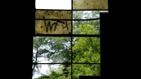 back in the day - Don-Valley-Brickworks110.jpg